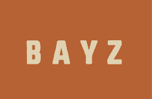 ניהול פרויקטים BAYZ