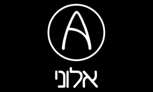 ניהול פרויקטים ALONI