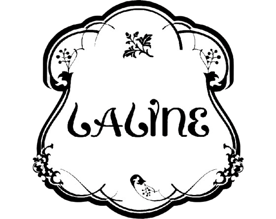 ניהול פרויקטים LALINE